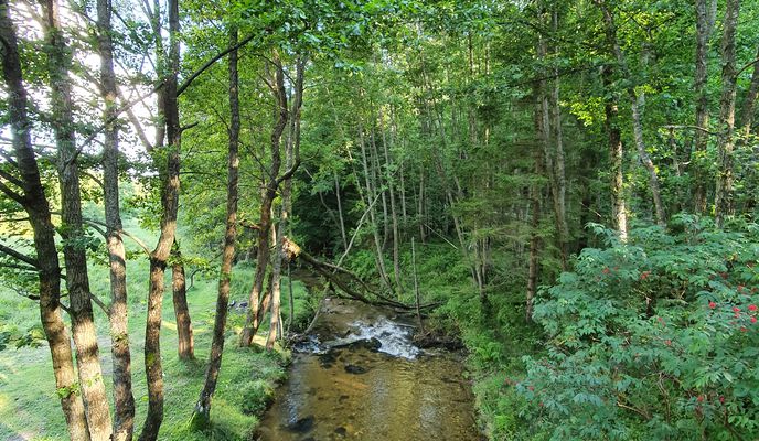 Photo 1 de l’itinéraire Bikemap « DC96 34, Gărâna to DC96 25, Gărâna »