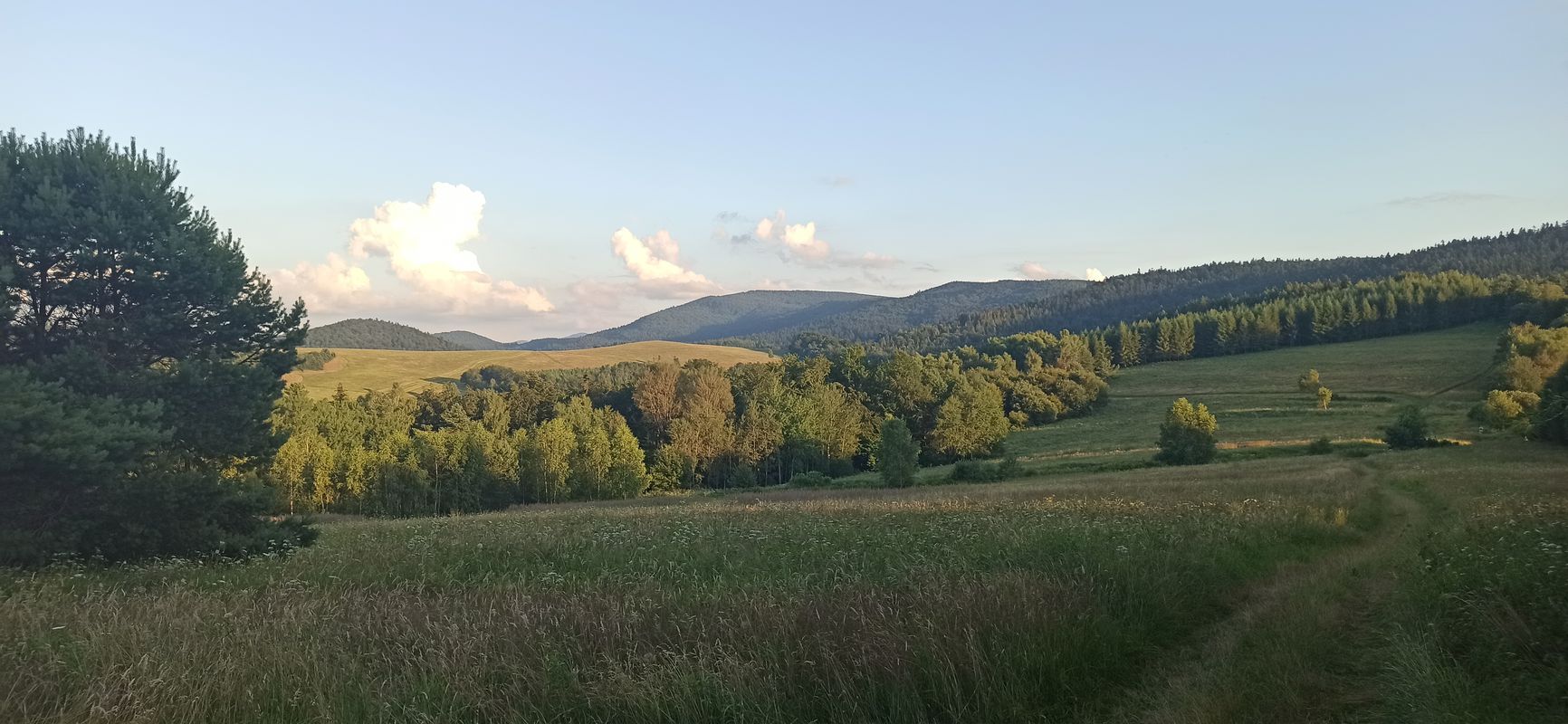 Turzańsk do Rzepedź przez Suliłe
