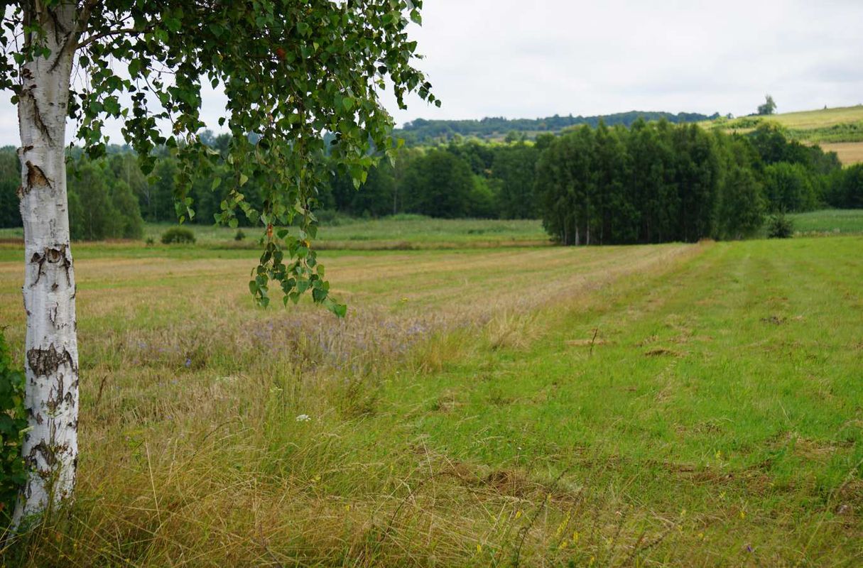maleszowa