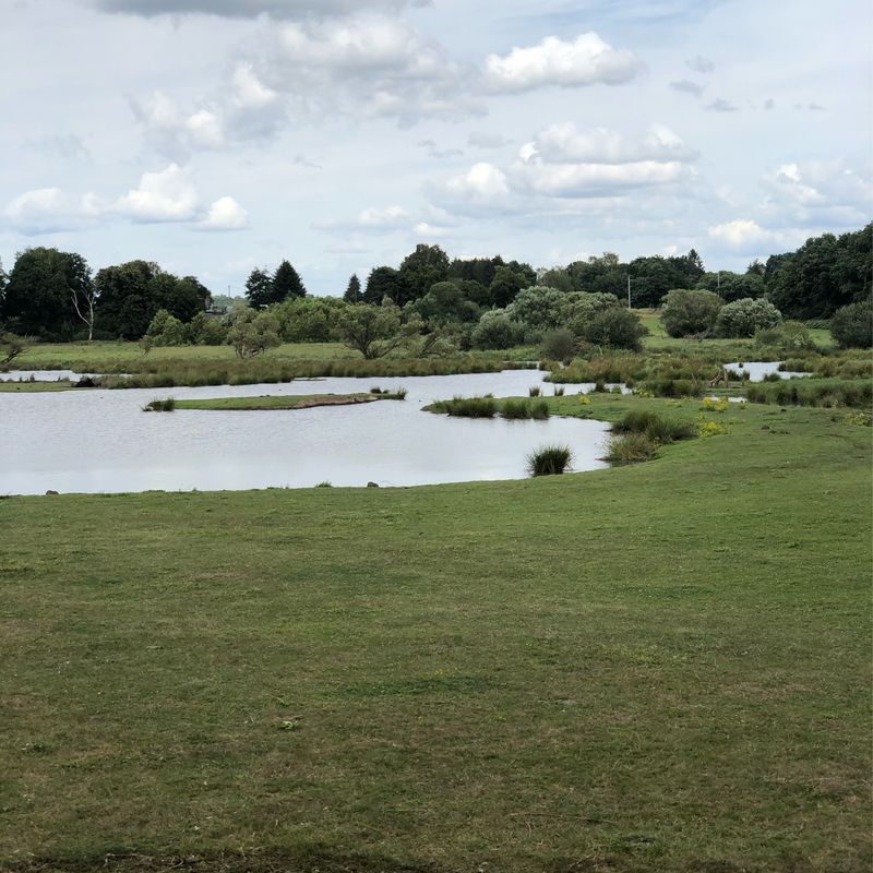 Ab Blieskastel die Adebartour