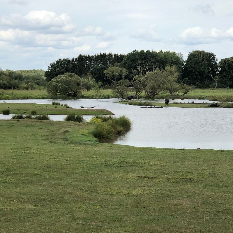 Ab Blieskastel die Adebartour