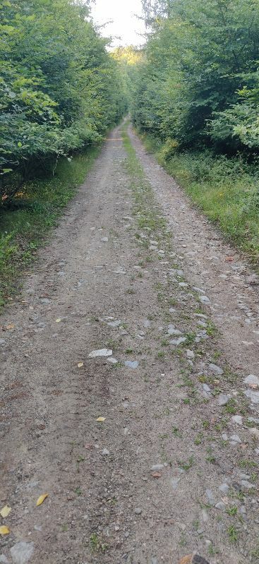 Route from Calea Gușteriței 71, Sibiu