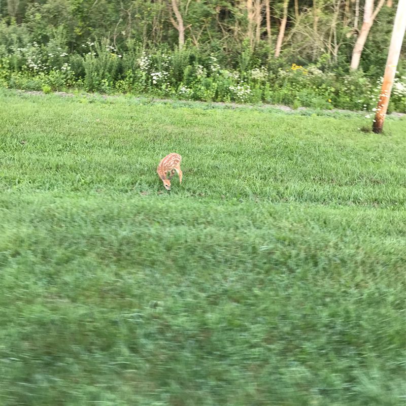 Smooth ride from Penn Oak to Burr St