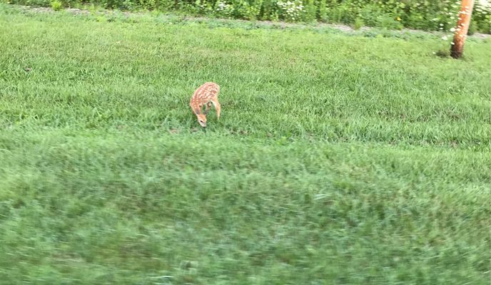 Foto 2 del percorso Bikemap "Smooth ride from Penn Oak to Burr St"