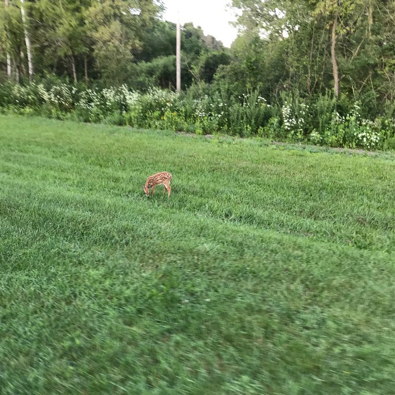Smooth ride from Penn Oak to Burr St