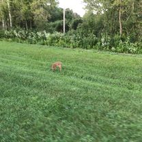 Smooth ride from Penn Oak to Burr St