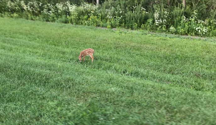 Foto 1 del percorso Bikemap "Smooth ride from Penn Oak to Burr St"