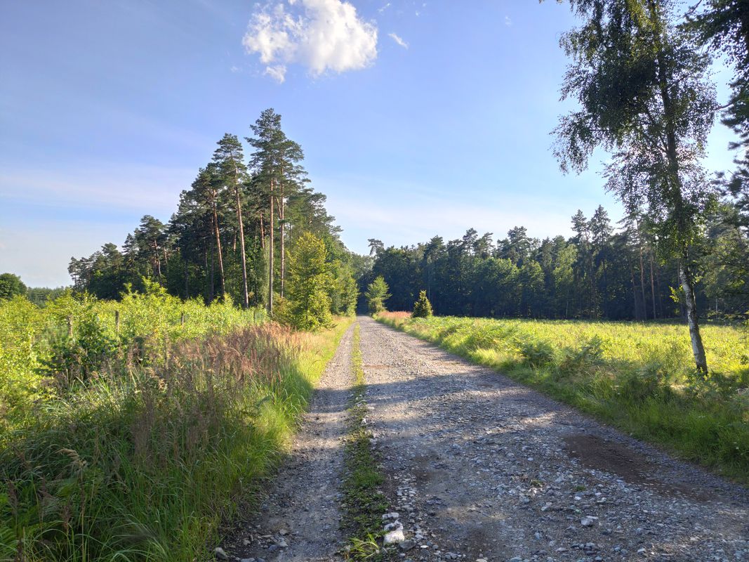 Kobiór, Paprocany, Zgoń, Kobiór