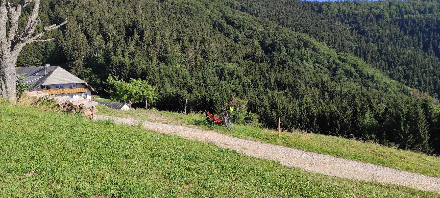 Fast schon Schauinsland - hart