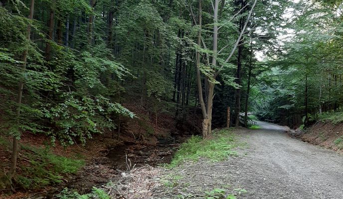 Foto 1 der Bikemap-Route "Barcice - Radziejowa"