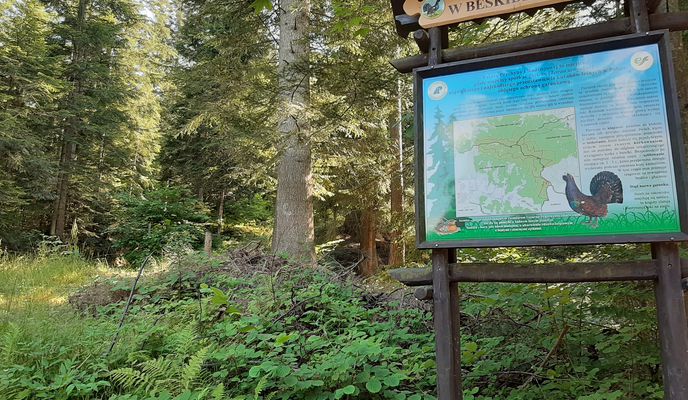 Foto 2 der Bikemap-Route "Barcice - Radziejowa"