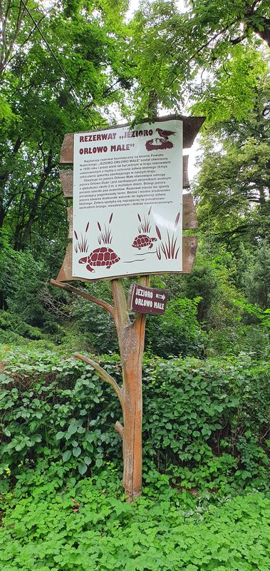 Jabłonka - Orłowo - Rez. Jezioro Orłowo Małe - Likusy - Brzeźno Łyńskie - Jabłonka