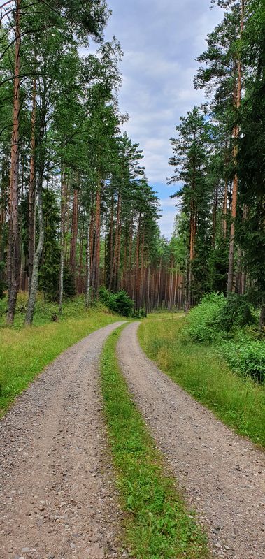 Jabłonka - Orłowo - Rez. Jezioro Orłowo Małe - Likusy - Brzeźno Łyńskie - Jabłonka