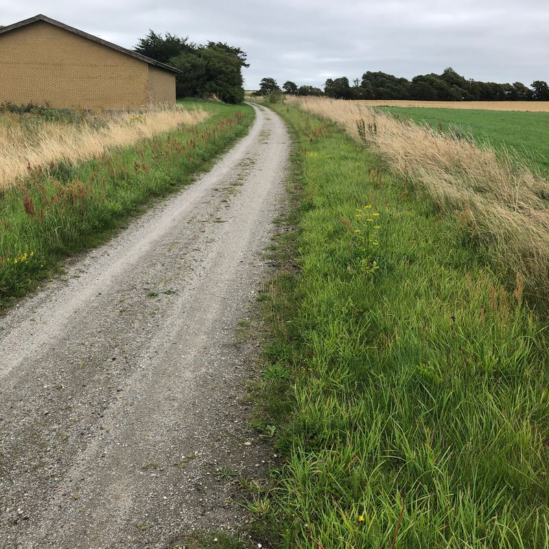 Viborg-Løgstør-Aggersund