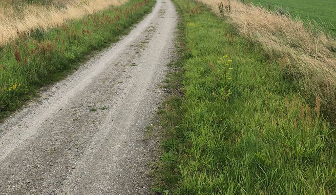 Zdjęcie 2 trasy Bikemap „Viborg-Løgstør-Aggersund”