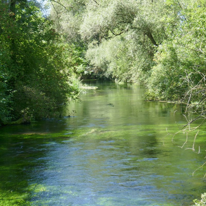 Tag 3 Riedheim nach Neuburg