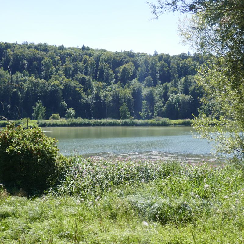 Tag 3 Riedheim nach Neuburg