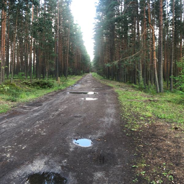 Foto 1: Иван Баранов