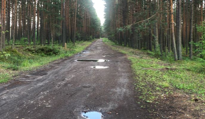Photo 1 of the Bikemap route "Шалаш Ленина - Песочный - Шалаш Ленина"