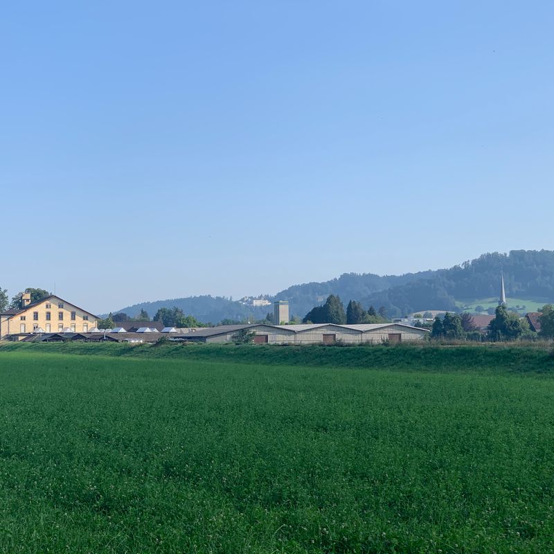 Forstackerstrasse 4F, Zofingen nach Forstackerstrasse 4A, Zofingen