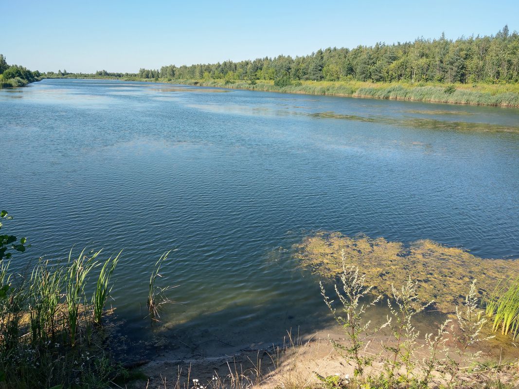 Relaks, kapliczki i bociany