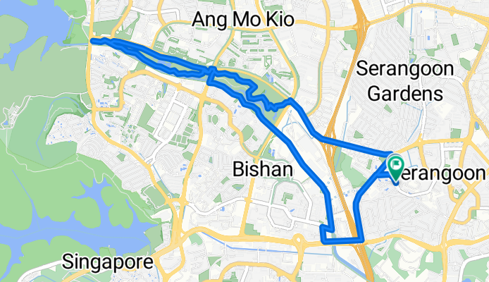 Bishan park ride