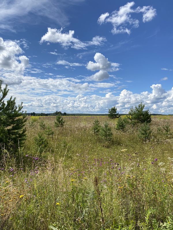 Relaxed route in Петровский