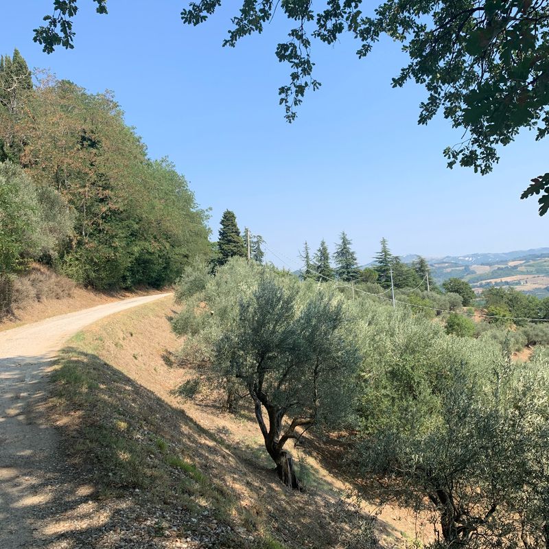 Da Via Rontana 20, Brisighella a Via Giuseppe Ugonia 8, Brisighella