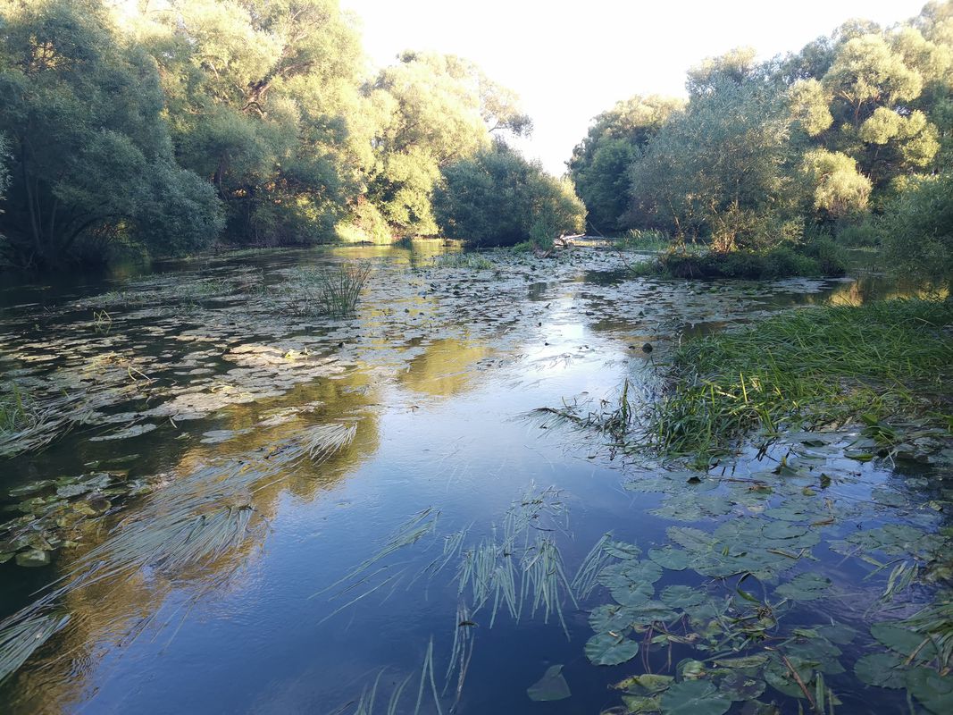 От улица Скуратовская 141, Тула до проспект Ленина 171, Тула