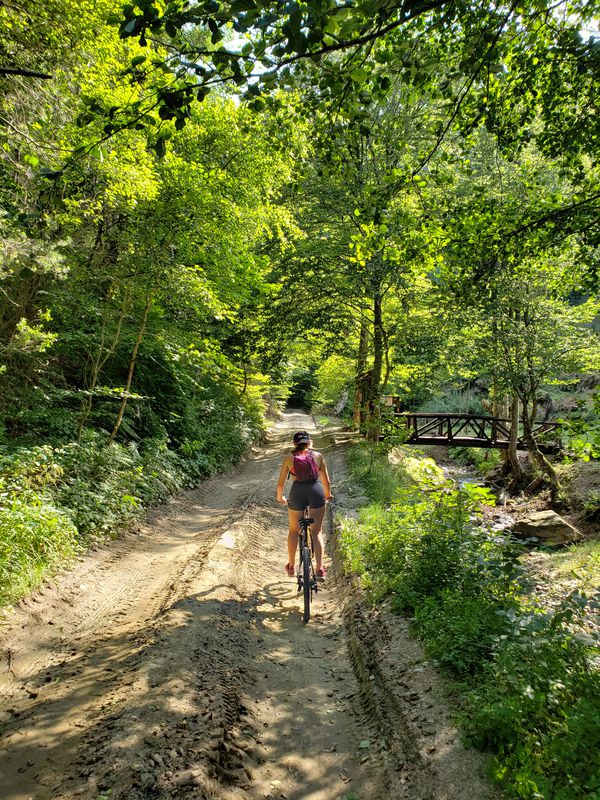Gjuro Gjakovikj, Berovo to Gjuro Gjakovikj, Berovo