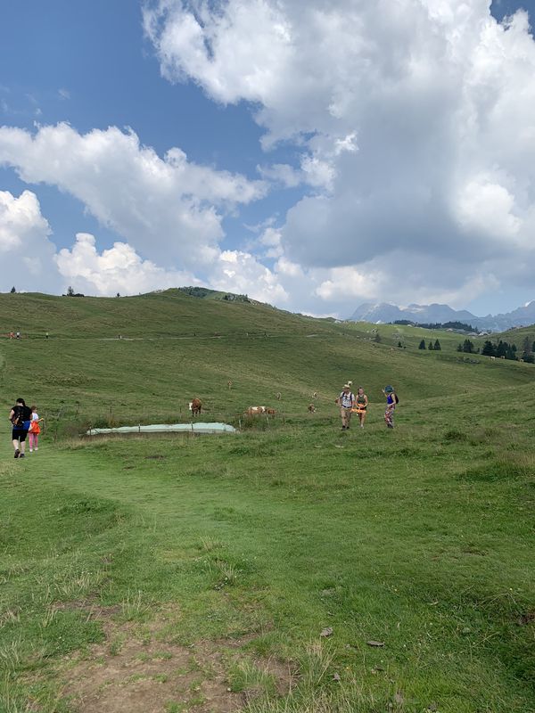 velika planina