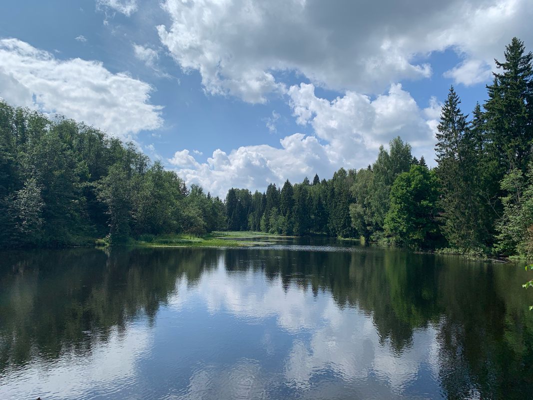 Дорохово-Елица-Березкино