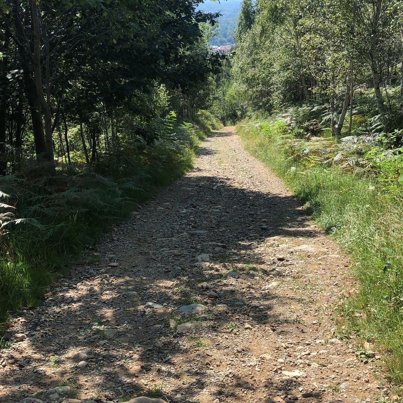 Da Via Lanzo 175, Ciriè a Ca’ Bianca