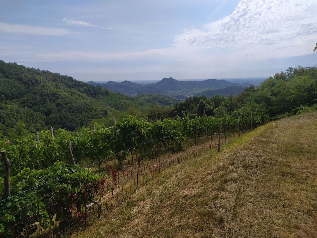 Turri, Galzignano , Roccolo, Torreglia, Montegrotto Terme