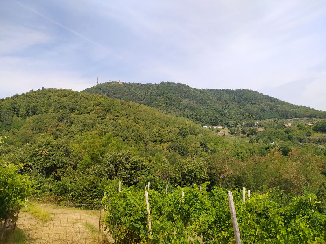 Turri, Galzignano , Roccolo, Torreglia, Montegrotto Terme