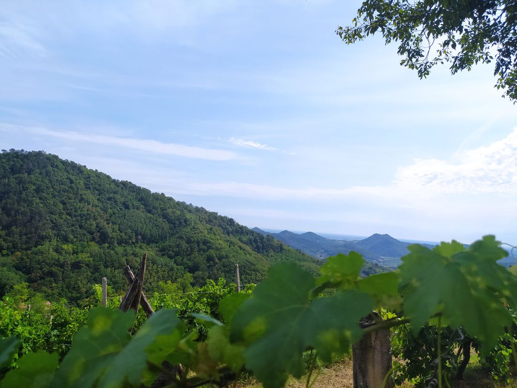 Turri, Galzignano , Roccolo, Torreglia, Montegrotto Terme