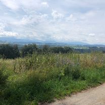 Forstrunde mit Köhlerei