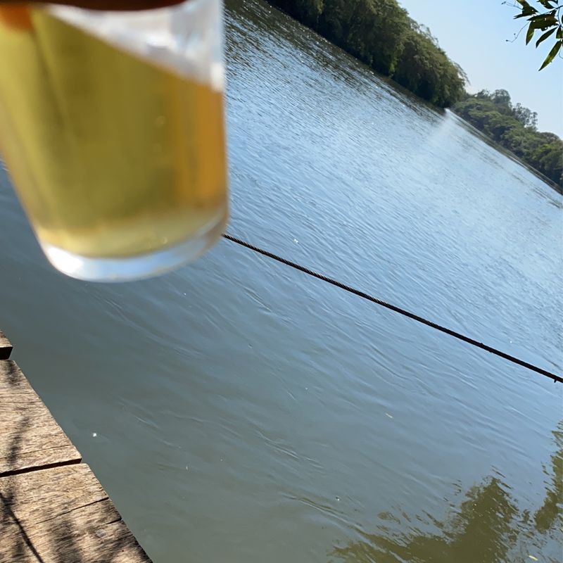 USP Ribeirão Preto - Rio Pardo