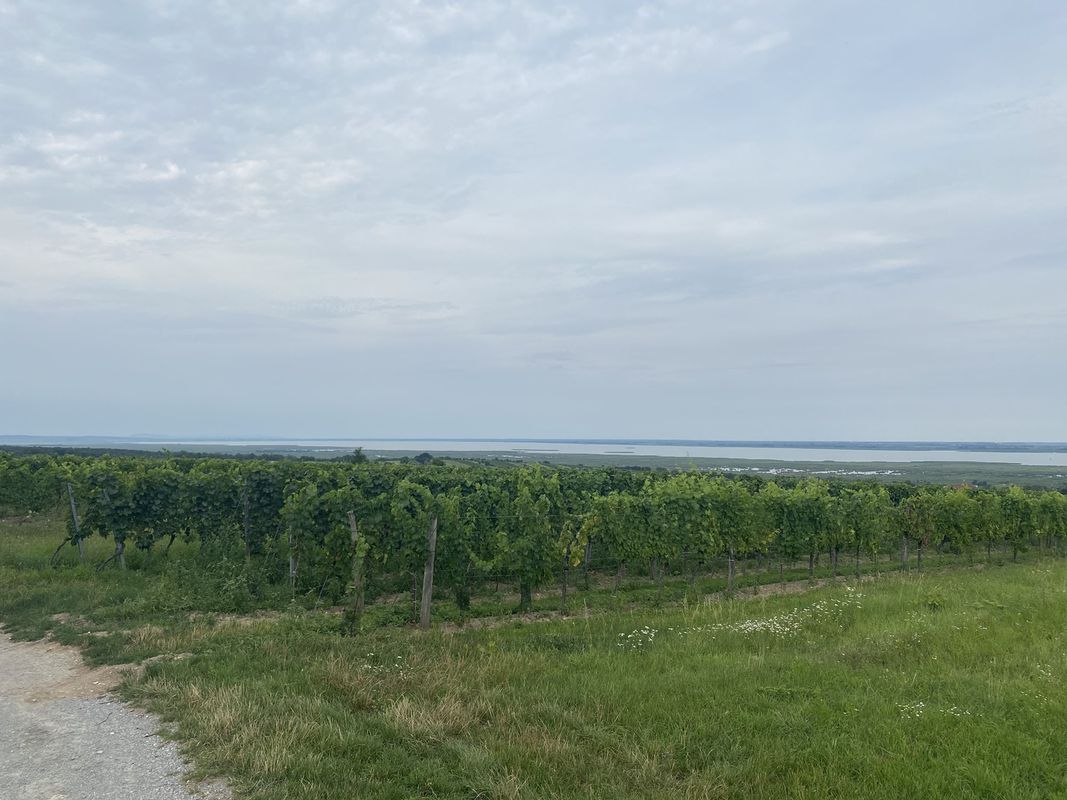 Loipersbach im Burgenland nach Rust/Oggau (Camping) inkl. Stop beim Ort des Paneurop. Frühstück