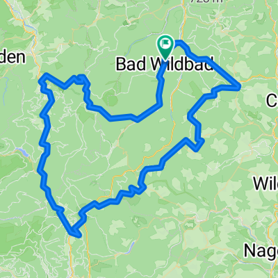 Gregor Braun - Schwarzwald Classic mittel