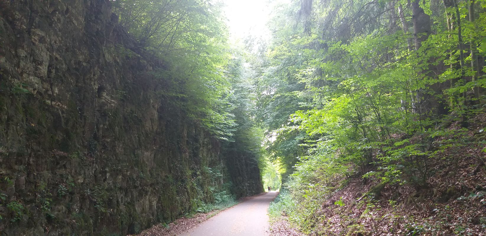 Rue Collart 1, Steinfort to Rue Collart 1, Steinfort