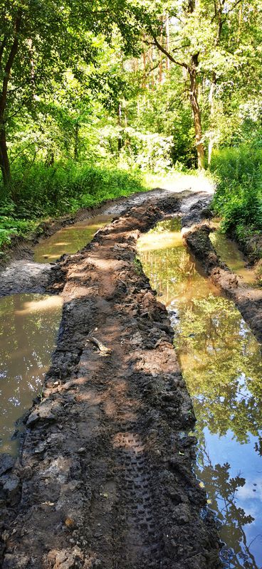 От вул. Миколи Бурки 8, Васильків до вулиця Щаслива 38, Софіївська Борщагівка