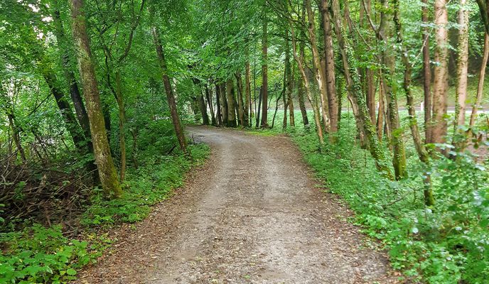 Photo 2 of the Bikemap route "Zum Thalersee"