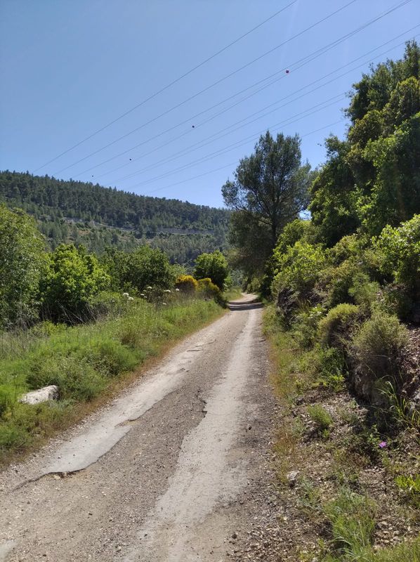Jerusalem (Ramot) - Sataf -Jerusalem (Ramot)
