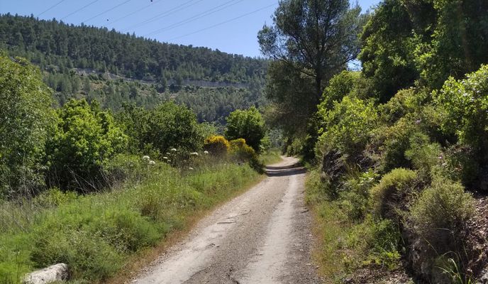 Photo 1 of the Bikemap route "Jerusalem (Ramot) - Sataf -Jerusalem (Ramot)"