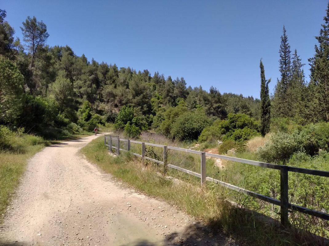Jerusalem (Ramot) - Sataf -Jerusalem (Ramot)