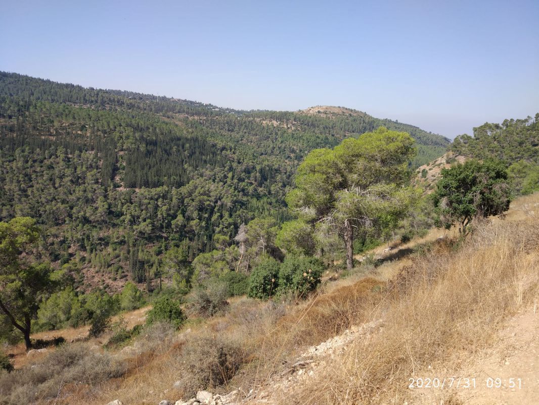 Jerusalem (Ramot) - Sataf -Jerusalem (Ramot)
