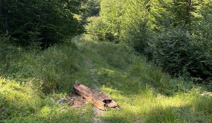 Foto 1 der Bikemap-Route "Somartin-Bruiu-Gherdeal-Rucãr-Feldioara"