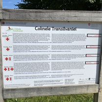 Foto 7 der Bikemap-Route "Somartin-Bruiu-Gherdeal-Rucãr-Feldioara"