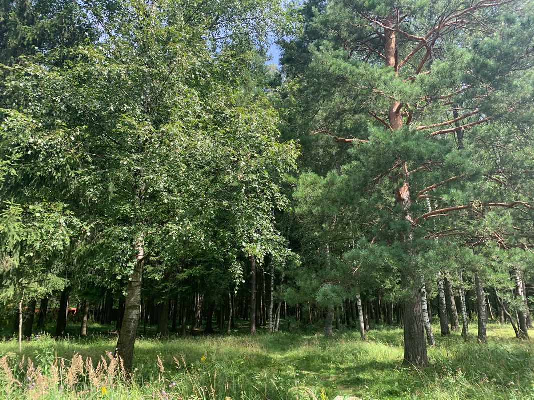 По Дорохово
